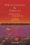 Dragonflies and Turtles: A Guide to Living in the Hurricane's Eye