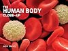The Human Body Close-Up