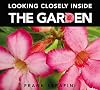 Looking Closely inside the Garden (Looking Closely)