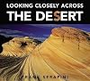 Looking Closely across the Desert