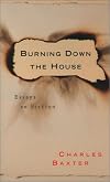 Burning Down the House: Essays on Fiction