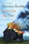 Straw for the Fire: From the Notebooks of Theodore Roethke