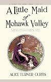 A Little Maid of Mohawk Valley