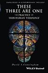 These Three are One: The Practice of Trinitarian Theology