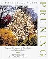 A Practical Guide to Pruning