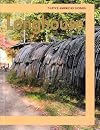 Longhouse (Native American Homes)