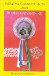 Everyday Consciousness and Primordial Awareness