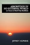 Absorption in no external world : 170 issues in mind-only Buddhism
