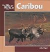 Caribou (Our Wild World)