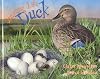 Duck (Starting Life)