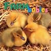 Farm Babies (Animal Babies)
