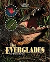 The Everglades (Our Wild World: Ecosystems)