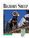 Bighorn Sheep (Endangered Animals and Habitats)