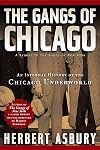 Gem of the prairie : an informal history of the Chicago underworld