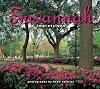 Savannah Impressions
