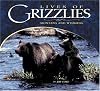 Lives Of Grizzlies: Montana and Wyoming