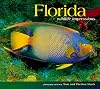 Florida Wildlife Impressions