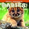Rocky Mountain Babies! (Babies! (Farcountry Press))