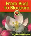 From Bud to Blossom (Apples)
