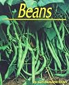 Beans (Plants Life Cycles)