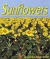 Sunflowers (Plants Life Cycles)