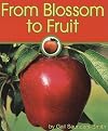 From Blossom to Fruit (Apples)