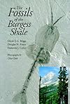 The Fossils of the Burgess Shale