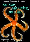 Sea Stars, Sea Urchins, and Allies: Echinoderms of Florida and the Caribbean