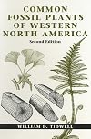 Common Fossil Plants of Western North America