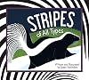 Stripes of All Types