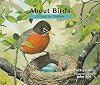 About Birds: A Guide for Children