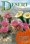 Desert in Bloom : In Pictures
