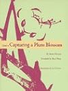 Guide to Capturing a Plum Blossom