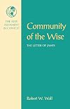 Community of the Wise: The Letter of James (New Testament in Context)