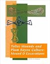 Toltec Mounds and Plum Bayou Culture: Mound d Excavations (Arkansas Archeological Survey Research Report)