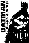 Batman: Black & White, Vol. 2