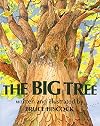The Big Tree