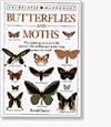 Butterflies and Moths