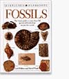 Fossils
