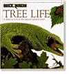 Tree Life (Look Closer Series)