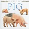 Pig (See How They Grow)