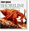Shoreline (Look Closer)