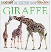 Giraffe (See How They Grow)