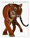 Natural World (Eyewitness Books)