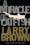 A Miracle of Catfish: A Novel in Progress