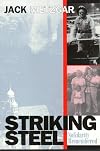 Striking Steel (Solidarity Remembered) (Critical Perspectives on the past series)