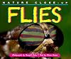Nature Close-Up - Flies