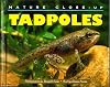 Nature Close-Up - Tadpoles