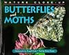 Nature Close-Up - Butterflies and Moths