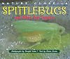 Nature Close-Up - Spittlebugs and Other Sap Tappers